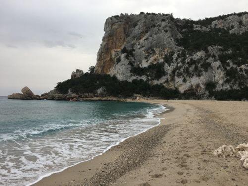 Apartment Altomare