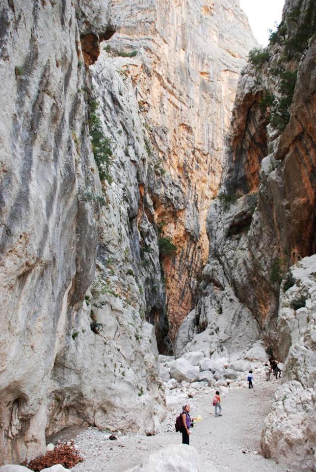 Altomare Cala Gonone